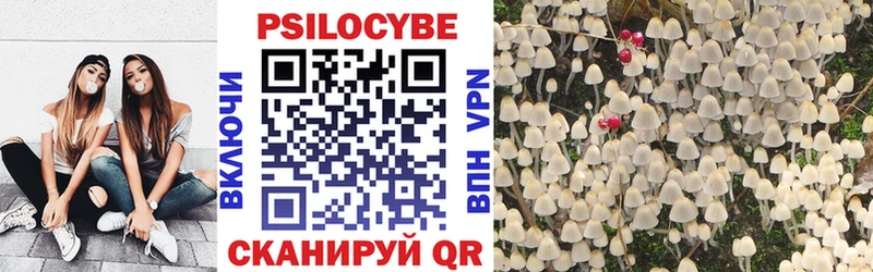 Купить закладки  Оха  Галлюциногенные грибы ЛСД 